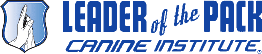 main logo