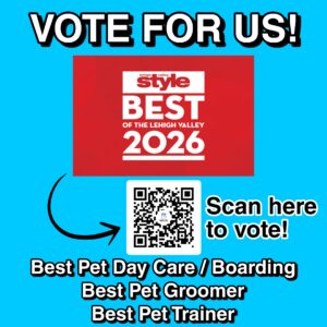 best of the valley 2026 voting