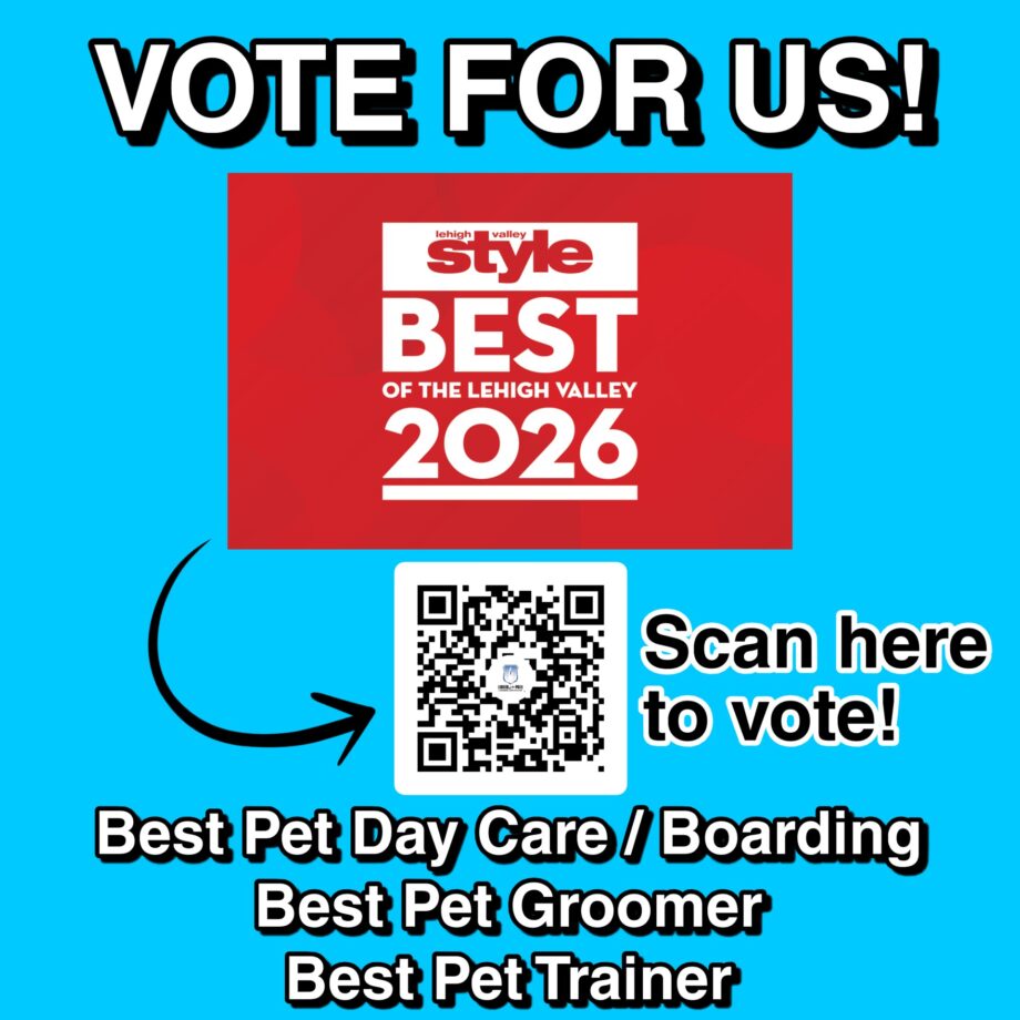 best of the valley 2026 voting