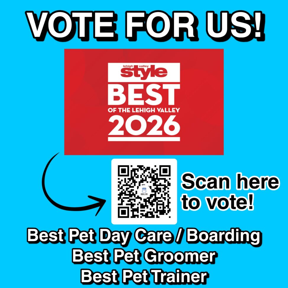 best of the valley 2026 voting